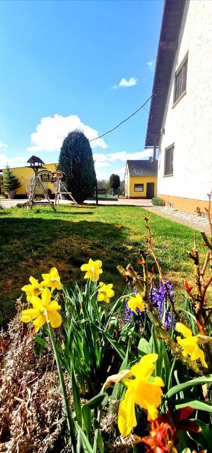 Ferienwohnung Landidylle Nassheck Dieblich Exteriör bild