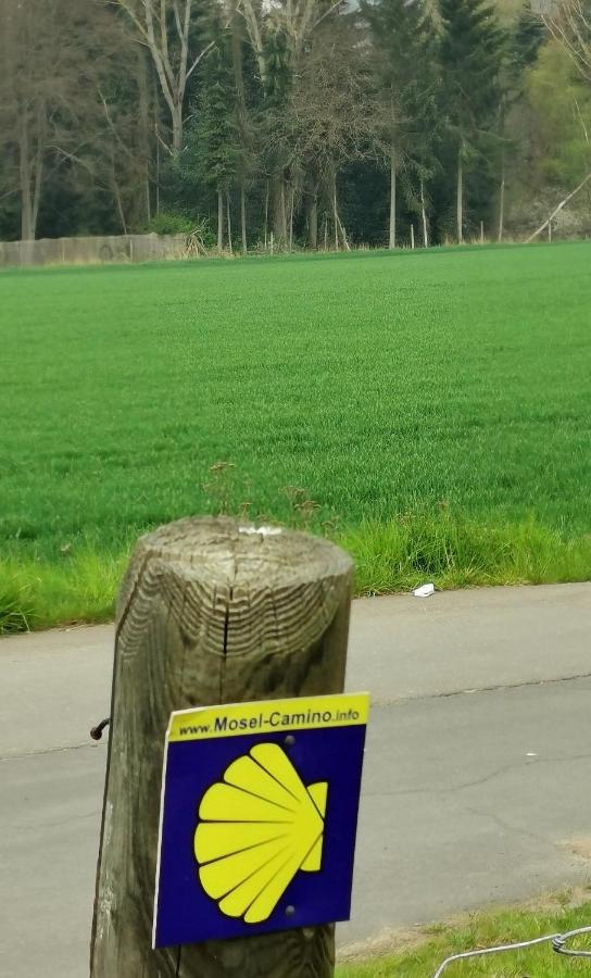 Ferienwohnung Landidylle Nassheck Dieblich Exteriör bild